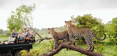 Parque Nacional Kruger Sudáfrica