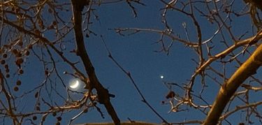 Conjuncin de la Luna y Venus hoy 28 de enero