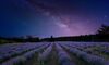 Equinoccio de marzo y otras claves del cielo de la primavera