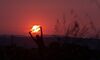 Las espectaculares imgenes ganadoras del Concurso Fotogrfico de la Puesta de Sol 2025