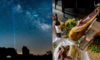 Extremadura estrellas en el cielo y tambin en la mesa