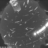 Geminidas 2025 dnde y cundo ver la lluvia de estrellas ms intensa del ao