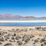 Salinas y Aguada Blanca el cielo andino de Per que conquista a los astrocuriosos