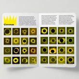 Eclipsemana una minigua ilustrada para descubrir los eclipses