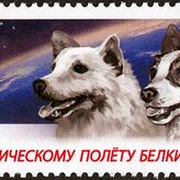 Belka y Strelka las dos perritas que viajaron al espacio y regresaron para contarlo