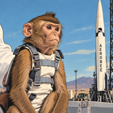 Yorick el mono que sobrevivi a un vuelo espacial pero muri al volver a la Tierra