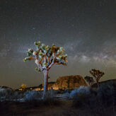 Por qu todos mirarn al cielo de Joshua Tree este fin de semana