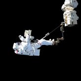 Revelan el efecto de los vuelos espaciales prolongados en los cerebros de los astronautas