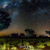 Ver las estrellas desde el corazn de Australia