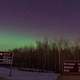 Siguiendo auroras boreales y bisontes en Canad