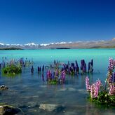 Estrellas en el lago Tekapo de Nueva Zelanda