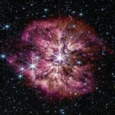 El Telescopio Webb captura el preludio rara vez visto de una supernova