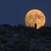 2024 trae cinco superlunas nuevas seguidas y el mayor eclipse solar del ao 