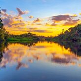 Estrellas en el Amazonas la regin ms biodiversa del mundo