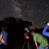 Cabaeros del susurro del bosque al abrazo del cielo nocturno