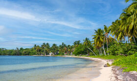 Astroturismo en Cuba estrellas y tortugas en la Cinaga de Zapata