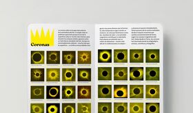 Eclipsemana una minigua ilustrada para descubrir los eclipses