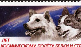 Belka y Strelka las dos perritas que viajaron al espacio y regresaron para contarlo Belka y Strelka las dos perritas que viajaron al espacio y regresaron para contarlo