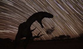 JumpUp  un santuario de Cielo Oscuro en Australia lleno de dinosaurios