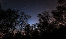 Bosque de Galloway Un Refugio para los Amantes del Astroturismo en Escocia