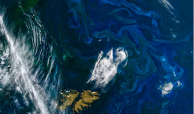 Islas Malvinas buscando estrellas en el fin del mundo  