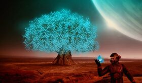 A un paso del primer rbol en Marte 