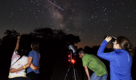 Cabaeros del susurro del bosque al abrazo del cielo nocturno