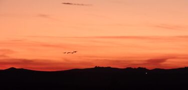 Laguna de Gallocanta uno de los mejores cielos esteparios para ver estrellas en Espaa