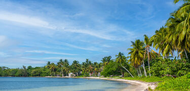 Astroturismo en Cuba estrellas y tortugas en la Cinaga de Zapata