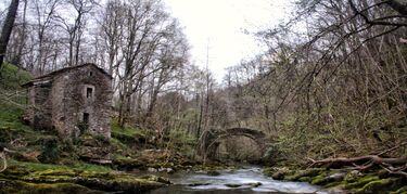 miera cantabria