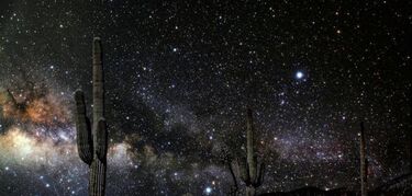 El Pinacate magia y estrellas en el desierto de Sonora