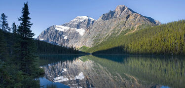 Monte Edith Cavell