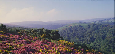 Reserva Exmoor Dark Sky