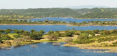 Lago Alqueva Starlight