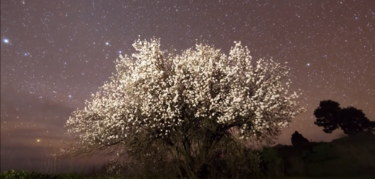 En Astroturismo se lleva La Palma