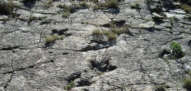 Reserva de la Biosfera de la Rioja