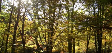 España un país de estrellas III