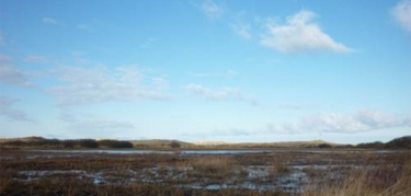 De Boschplaat Holanda