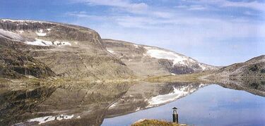 Parque dovrefjell en Noruega