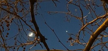 Conjuncin de la Luna y Venus hoy 28 de enero