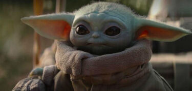 Quin es baby es Yoda y por qu causa tanto furor
