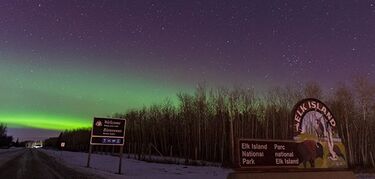 Siguiendo auroras boreales y bisontes en Canad