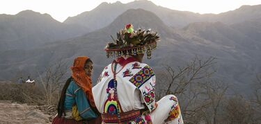 Huiricholes, Wirikuta en México