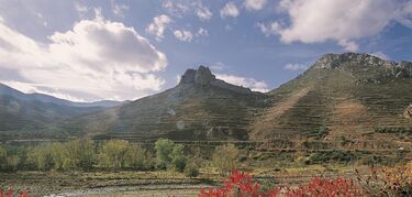 Reserva de la biosfera Leza Jubera