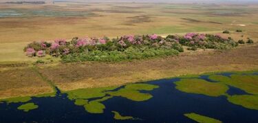 El destino de astroturismo en Argentina Parque del Iber reabre tras los incendios