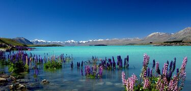 Estrellas en el lago Tekapo de Nueva Zelanda