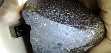 Black Beauty el meteorito marciano ms antiguo encuentra su hogar original