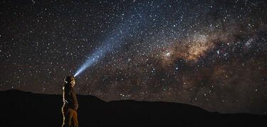 Pica la flor en la arena de Chile crece mirando a las estrellas