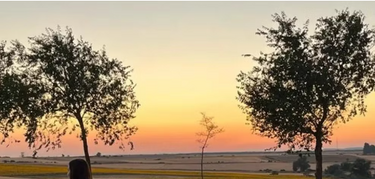 Sanmartina Hotel, Palencia 