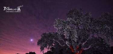 Turismo de estrellas en Cabaeros de la mano de Las 7 Cabrillas 